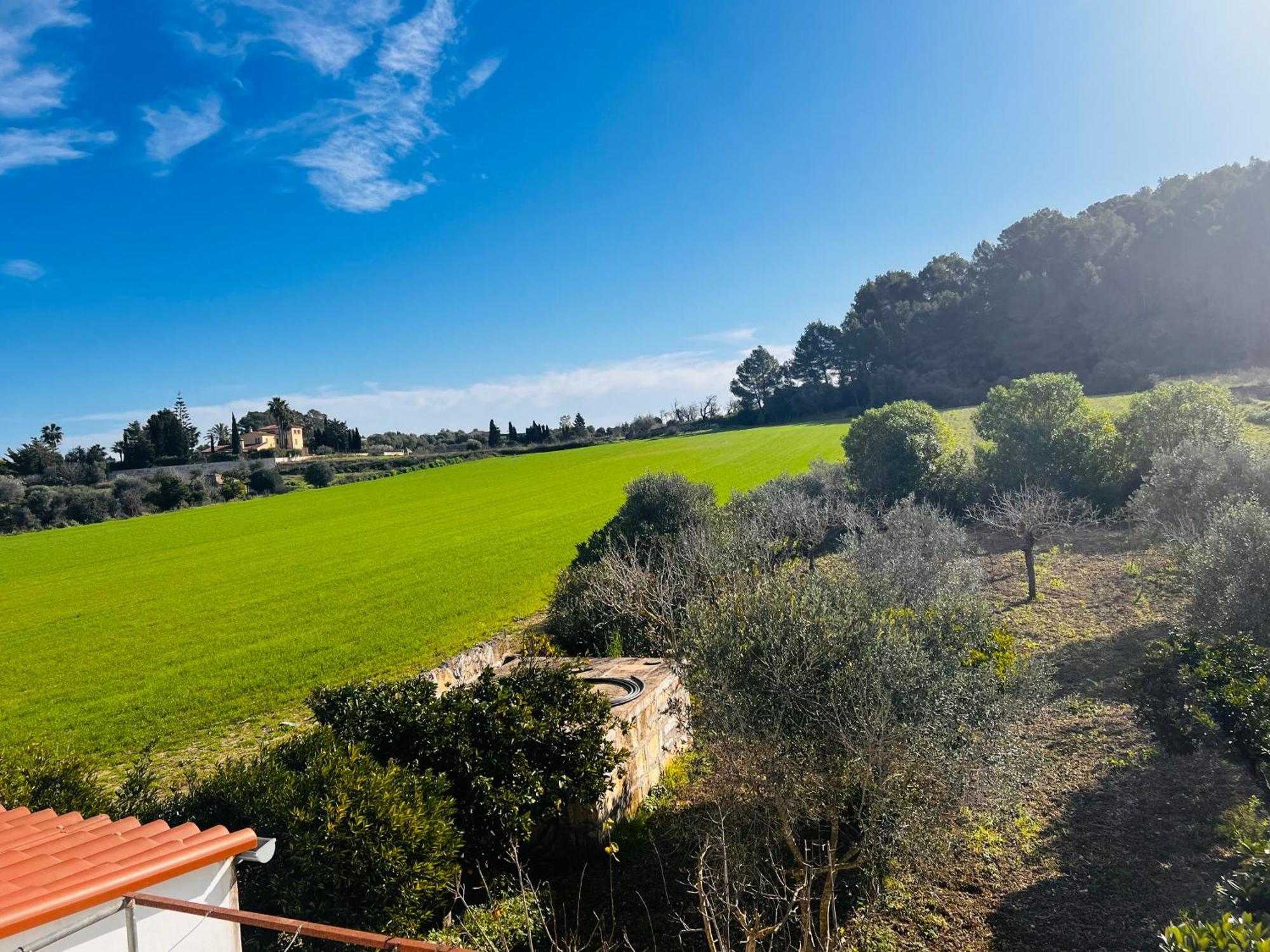 Es Puig Villa Santa Margalida Exterior photo